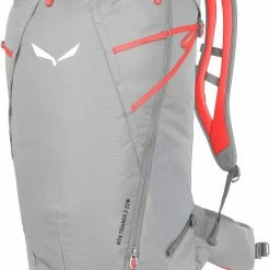 SALEWA Mtn Trainer 2 22 Sac à dos Femme, gris
